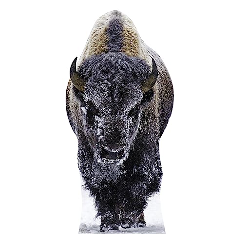 Cardboard People Yellowstone Bison Life Size Cardboard Cutout Standup - Made in USA