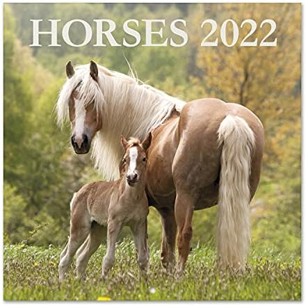 Official Horses 2022 Wall Calendar, 2022 Calendar, 12" x 12" Square Wall Calendar 2022, Family Calendar 2022, Horses Calendar 2022 - Animals Calendar 2022