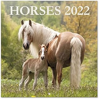 Official Horses 2022 Wall Calendar, 2022 Calendar, 12" x 12" Square Wall Calendar 2022, Family Calendar 2022, Horses Calendar 2022 - Animals Calendar 2022