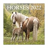 CALENDARIO 16 MESES - Nuestro nuevo calendario Grupo Erik va desde Septiembre de 2021 a Diciembre 2022, donde en la primera página nos encontramos los cuatro últimos meses de 2021 para que no se te quede nada en el tintero. Además cuenta con 12 ilustraciones por cada mes inspiradas los adorables caballos para llenar de optimismo tus días