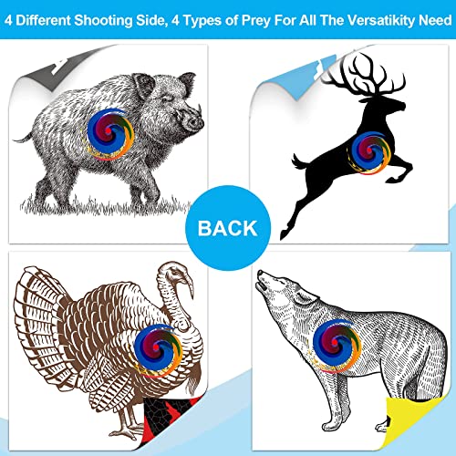 Aimdor Carbon Arrow 12 Pcs 30 Inch Practice Hunting Arrows With Removable Tips For Compound Recurve Bow Kids Bow Longbow With Paper Target Arrow Puller And Target Nails #TOP3