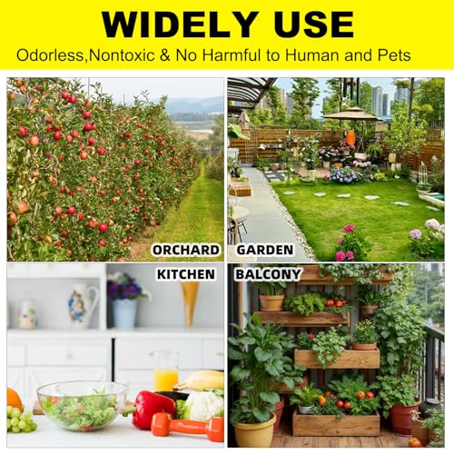 36PCS Fruit Fly Sticky Traps for Plants, Kitchen Indoor Outdoor, Love Shape - image 4