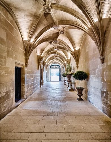 Chenonceau version anglaise comprendre l histoire sans barrière - 6