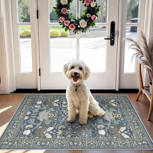 Washable 2x4 Entryway Area Rugs: Anti-Slip Thin Kitchen Carpet Indoor Light-Weight Doormat Ultra Soft Low Pile Nursery Room Rug Vintage Small Floor Mat for Hardwood Bedroom (2x4,Floral/Blue)