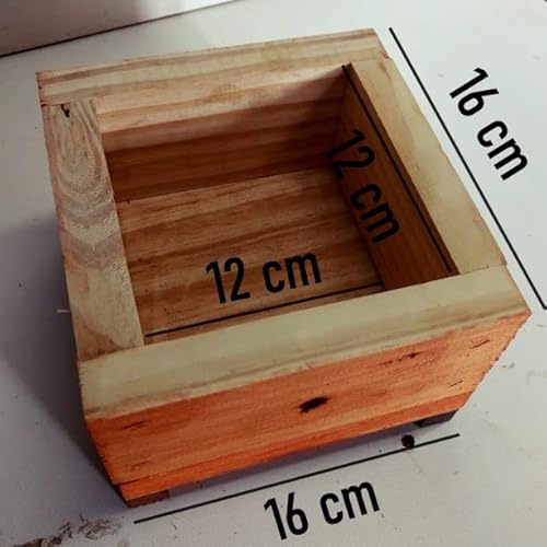 Kit 2 Caixas Para Criação de Abelha Jataí, Iraí Sem Ferrão, Mirim 2 Melgueiras