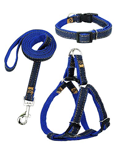 Dormencir Durable Basic Leashes Harness Set Pet Dog Slip Rope Leash Adjustable Strong Dogs Leash Collar for Small Medium and Large Dog for Daily Training Walking Running (S (12.6"-15.5" Chest), Blue)