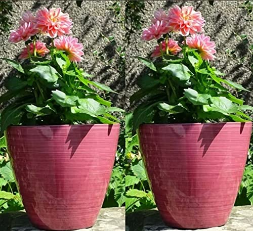 Lot de 2 pots de fleurs ronds en plastique brillant Savane Rose corail brillant 25 cm Cover