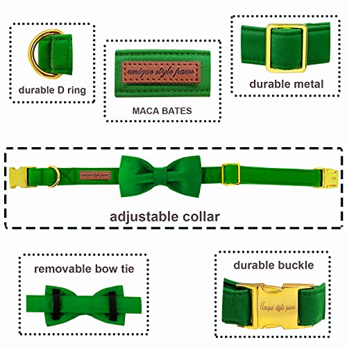 Unique style paws Dog Collar with Bowtie - Image 2