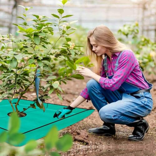 Tejido para césped de entrada y patio: mantén tus flores perfectas sin malas hierbas 3