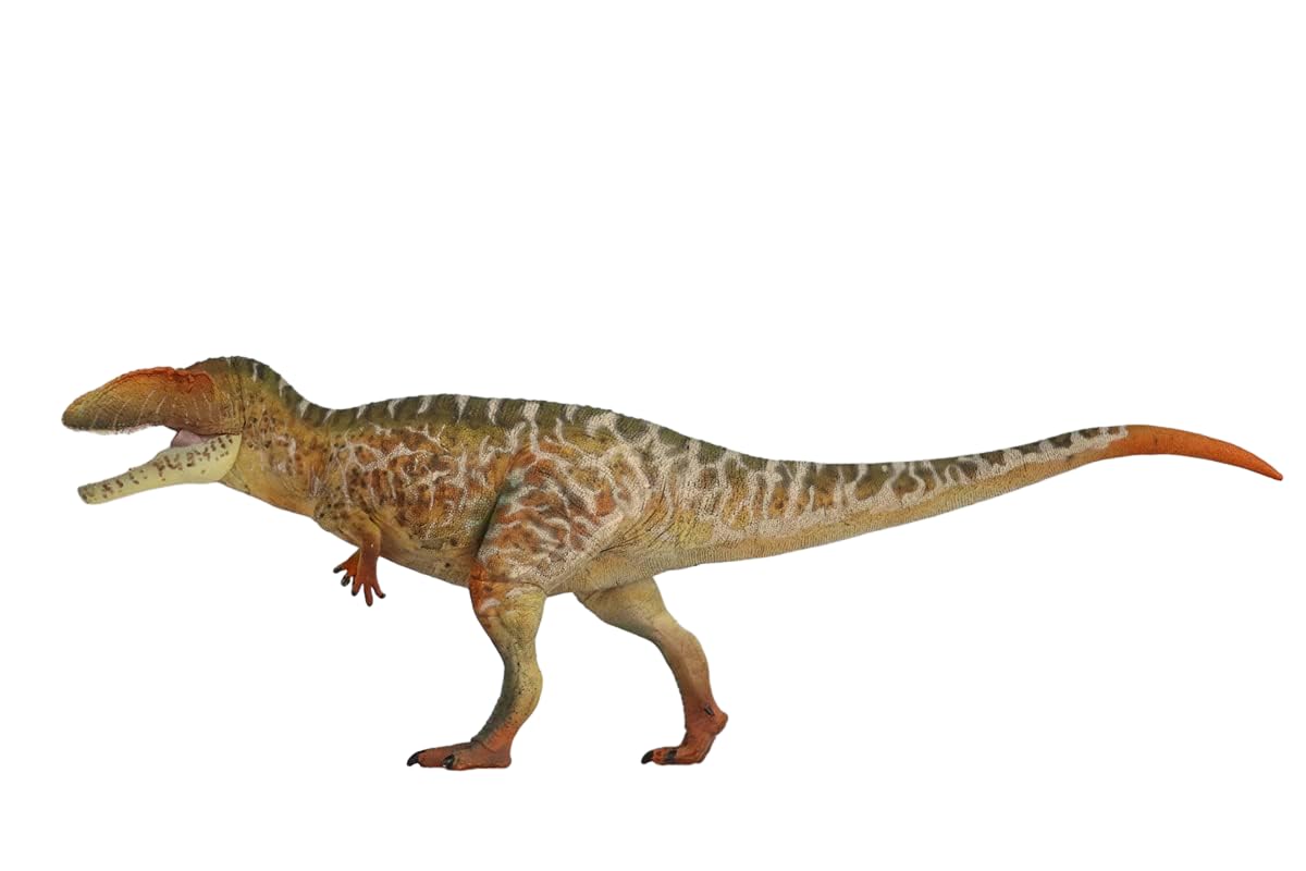 Amazon.co.jp: Lana Toys GRTOYS 135 科学カルカロドント