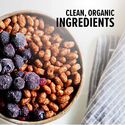 One Degree Organic Foods Sprouted Brown Rice Cacao Crisps, Usda Organic, Non-Gmo Gluten Free Chocolate Cereal, 10 Oz, 6 Pack #TOP5