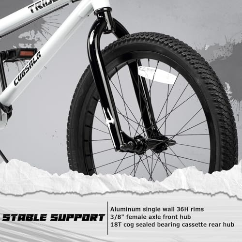 cubsala 20 Inch BMX Race Bike