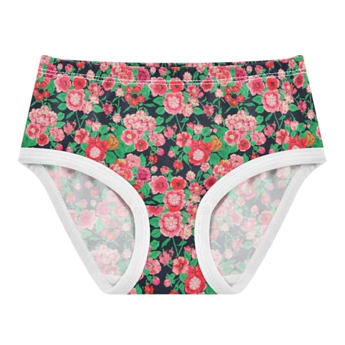 Joisal Cotton Toddlers Underwear Floral Pink Floral Print Black Panties Little Girl Artistic Briefs Underpants 2t
