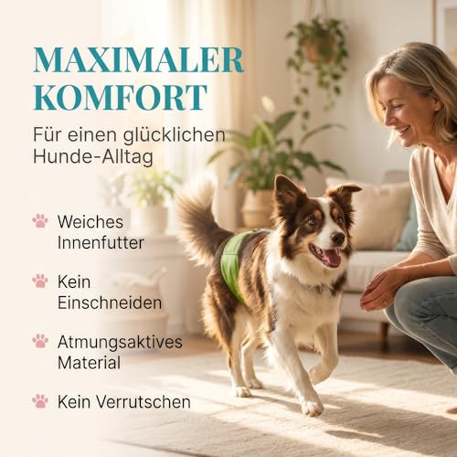 HUND IST KÖNIG Hundewindeln für Rüden [3 STK] Saugstarke Hundewindeln Rüde | Bequeme Hunde Windeln bei Inkontinenz Hund - Umweltfreundliche Rüdenwindel waschbar | Hundewindel leicht zu reinigen