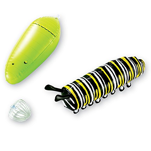 Inflatable Butterfly Life Cycle