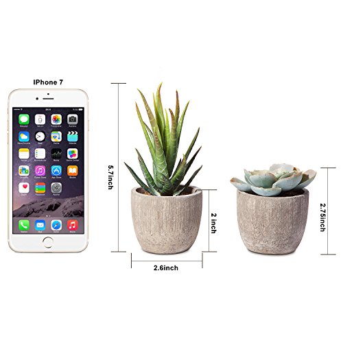 Jelofly Fake Plants Artificial Succulent Plants Assorted Decorative Faux Succulent Potted Fake Cactus Cacti Plants Gray Pots, Set Of 5 #TOP6