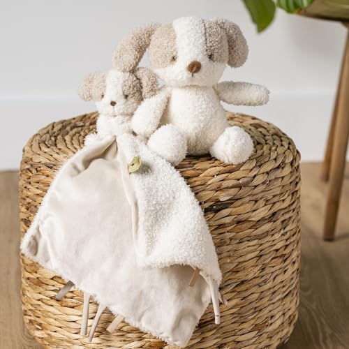 Nattou Kuscheltier Baby-Hund, Wegbegleiter ab der Geburt, Ca. 24 cm, 100% Polyester, Teddy, Ecru