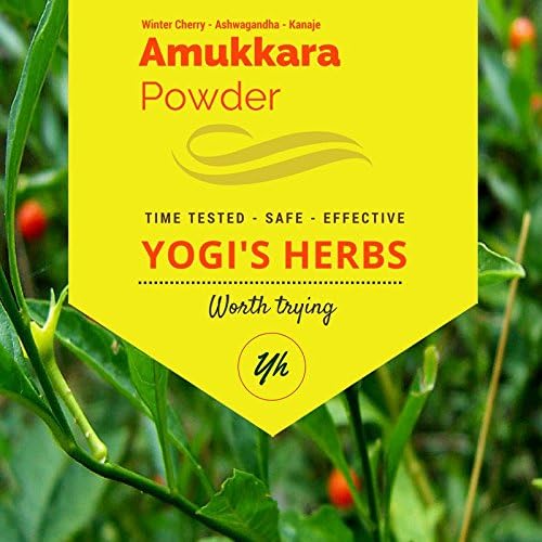 YOGIS HERBS Amukkara Powder (Withania Somnifera) - Aswagandha Root Powder 1Lb Fresh & Pure