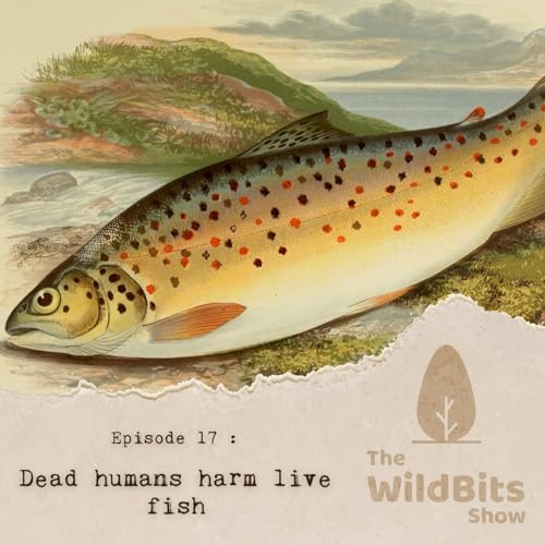 Dead humans harm live fish