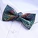 Alizeal Boys Adjustable Fashion Paisley Floral Strapped Pre-tied Kids Bow Tie (Peacock Blue)