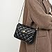 Women Vintage Quilted Flap Bag Chain Strap Cross Body Shoulder Purse Messenger Belt Bag (Black)