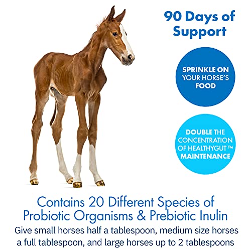 image for Equa Holistics HealthyGut™ Probiotics for Horses Dietary Supplement,