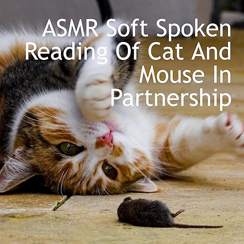 『ASMR Soft Spoken Reading Of Cat And Mouse In Partnership』のカバーアート