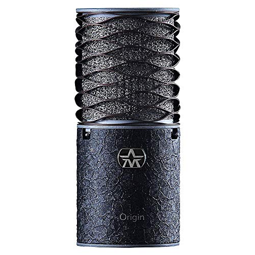 Image of Aston Microphones Origin Black Bundle Production Kit Pairing a Rock'n'Roll Black Version of Aston's Legendary Origin Microphone with The Swiftshield Pop Filter and Shock Mount Set