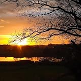 marble fire surround b&q  Fire flies and marbles