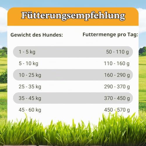 Bellfor Wildbach-Schmaus Getreidefreies Trockenfutter mit Lachs- und Forellengeschmack 7,5 kg, ideal für mittelgroße Hunderassen, 71% Fischanteil, ernährungssensibel