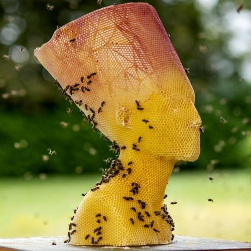 Live from ART ROTTERDAM 2024 talking to artists and galleries + a song from Magda Mendes