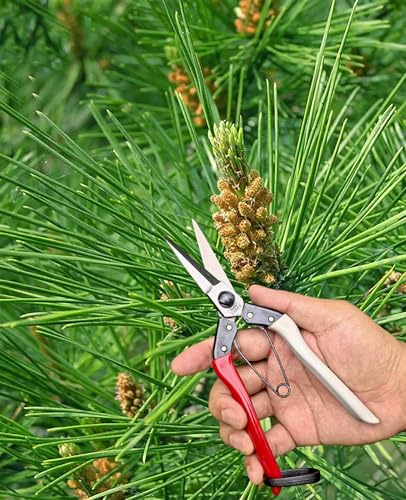 Image of Double-Edge Garden Shears Micro-Tip Pruning Shears Extra Heavy Straight Garden Scissors Effortless Cuts Pruning Shears for Gardening Clippers for Plant Herb Flower Harvesting Fruits vegetables