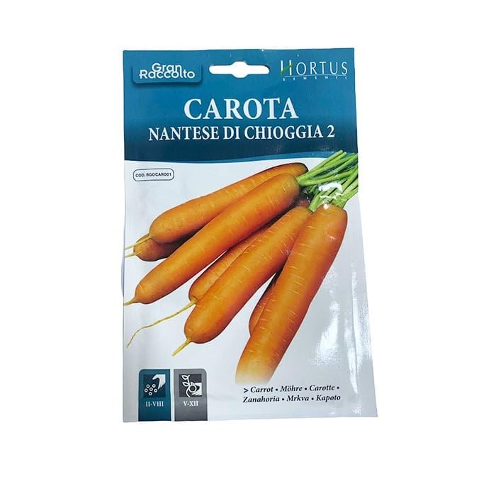 Spring Rose Souq Carrot Seeds - Premium Quality, Non-GMO, Swee & Crunchy Carrots for Home Gardens, High Yield, Easy to Grow - Made in Italy