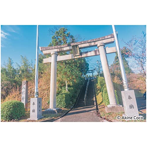 Filtre Kenko Nostaltone Blue 82mm effet doux pour photographie de portrait et gestion contraste
