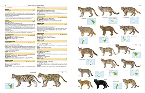 Illustrated Checklist of the Mammals of the World