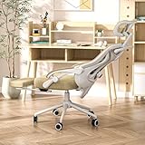 Ergonomic Office Chair with Footrest - Adjustable Lumbar Support & Headrest, 90-160° Reclining Mesh Back Computer Chair - Home Office/Gaming, 330lbs Capacity (SGS Certified)