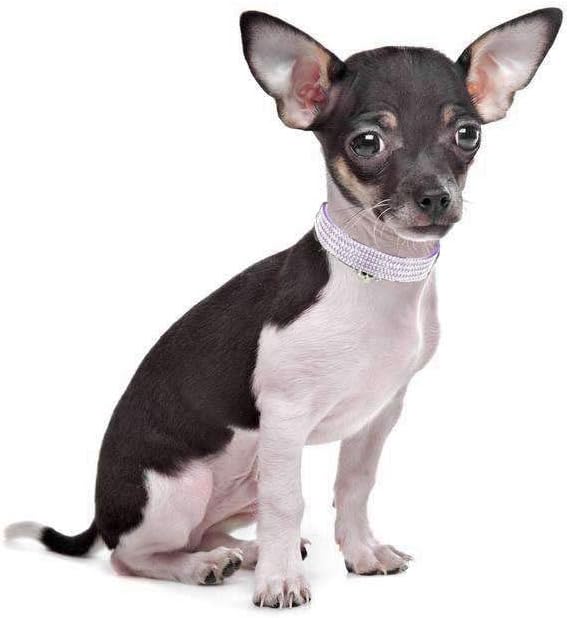 haoyueer Rhinestones Dog Cat Collars with Bell Bling Pet Puppy Collars with Soft Velvet Crystal Collars Girl Jeweled Necklace (Purple) - Image 5