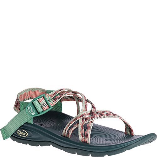 Chaco Women's Zvolv X Sport Sandal, Raglan Pine, 9 Medium US