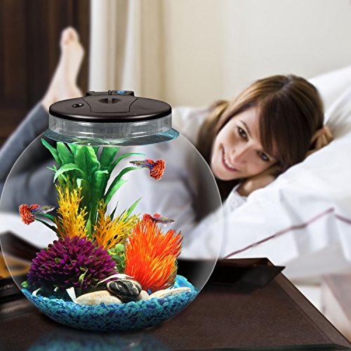 Koller Products Aquaview 3-Gallon Fish Tank With Power Filter And Led Lighting #TOP3