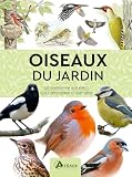 Oiseaux du jardin: Les identifier par leur aspect, leur comportement et leur habitat