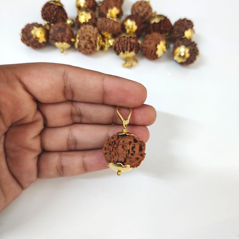 55Carat® Rudraksha-Anhänger, ursprünglich im Labor Zertifiziert, 1 2 3 4 5 6 7 8 9 10 11 12 13 Nepali Gauri Shankar Ganesh Mukhi vergoldeter Rudraksha-Anhänger