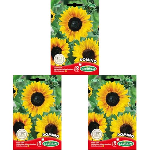 Germisem Domino Semillas de Girasol 2 g (EC1533) (Paquete de 3)
