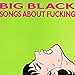 SONGS ABOUT FUCKING [Vinyl]