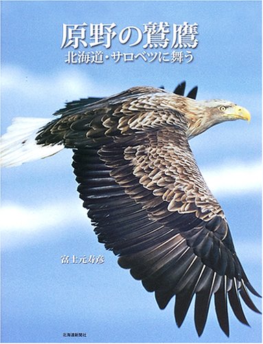 原野の鷲鷹: 北海道・サロベツに舞う