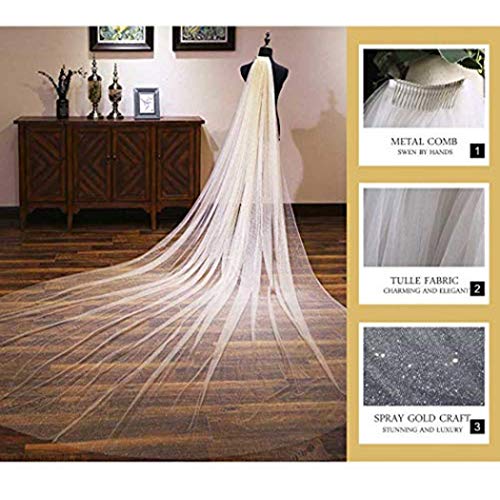 Aukmla Elegant Cathedral Veil Long Wedding Veil Sparking Exquisite Soft Tulle With Silver Dotted Glitter For Bridal Veils (White, 118'' Width) #TOP3