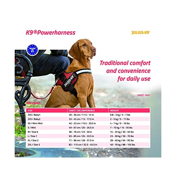 Trixie Dishes for Julius-K9, 162p, K9-Power, Black, Black Trixie Dishes for Julius-K9, 162p, K9-Power, Black, Black