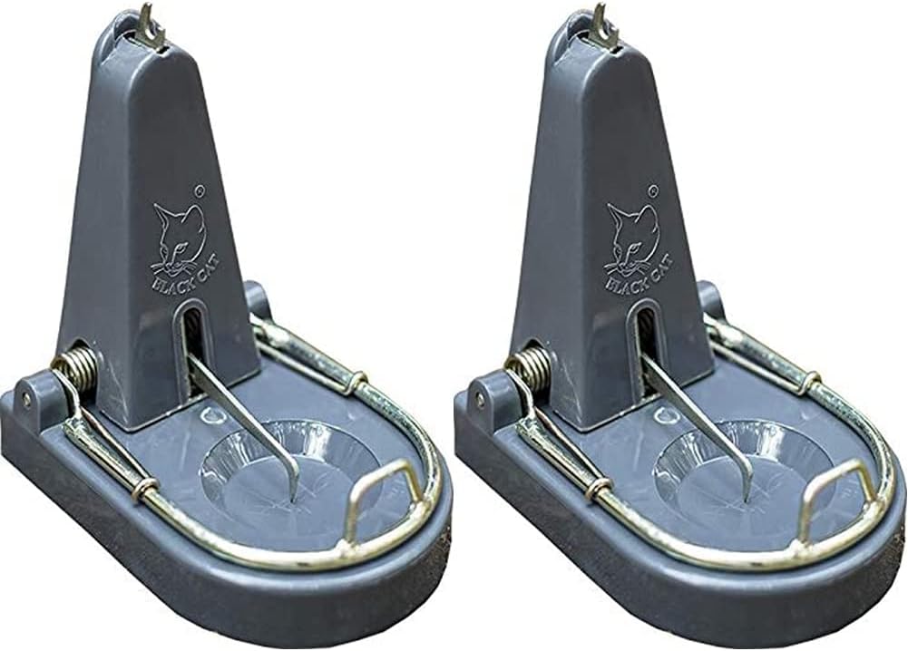 Black Cat Rat Trap: Mouse Catch (Grey, 1 Rat Trap) & Metal and Plastic Rodent Rat Trap (Grey, Medium) Combo