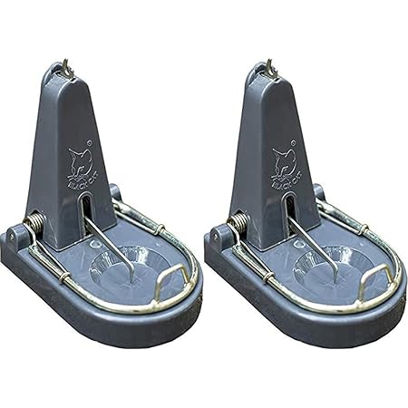 Black Cat Rat Trap: Mouse Catch (Grey, 1 Rat Trap) & Metal and Plastic Rodent Rat Trap (Grey, Medium) Combo