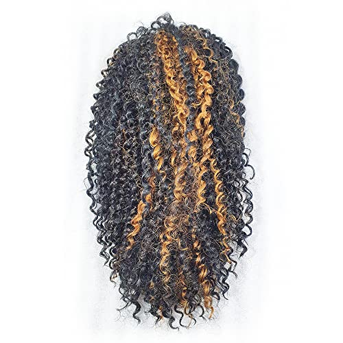 Aplique Coque Afro Puff Fibra Sintética P10 Cor:#F1B/30