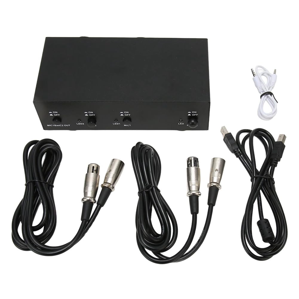 Alimentation Fantôme 2 Canaux 48 V Ensemble d'alimentation Fantôme Compact Universel pour Équipement D'Enregistrement de Musique de Microphone à Condensateur